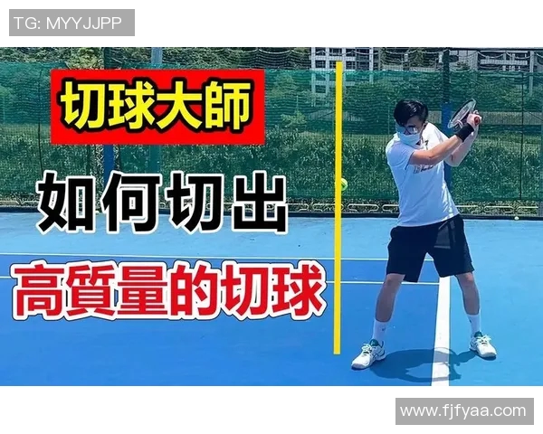广州网球队区域防守策略解析与深度剖析网球战术的创新与应用 广州网球队区域防守策略解析与深度剖析网球战术的创新与应用